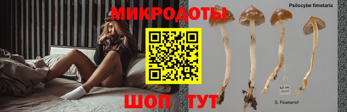 Галлюциногенные грибы ЛСД Дубна