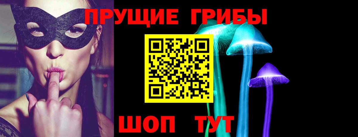 Галлюциногенные грибы прущие грибы  Галлюциногенные грибы Psilocybe  Вход с VPN  Дубна 